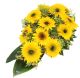 Rouwdruppel Sunflowers
